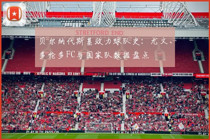 贝尔纳代斯基效力球队史：尤文、多伦多FC与国家队数据盘点